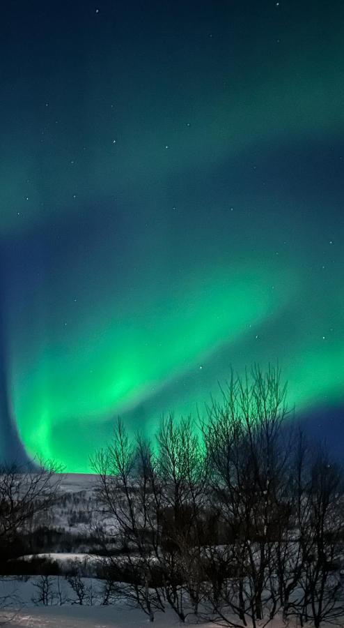 Tromsdalen Aurora Apartments Tromsø Buitenkant foto